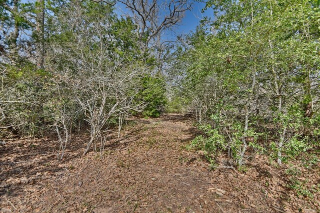 TBD County Road 278, Somerville, TX 77879 - photo 18