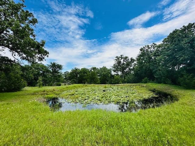 TBD County Road 278, Somerville, TX 77879 - photo 1