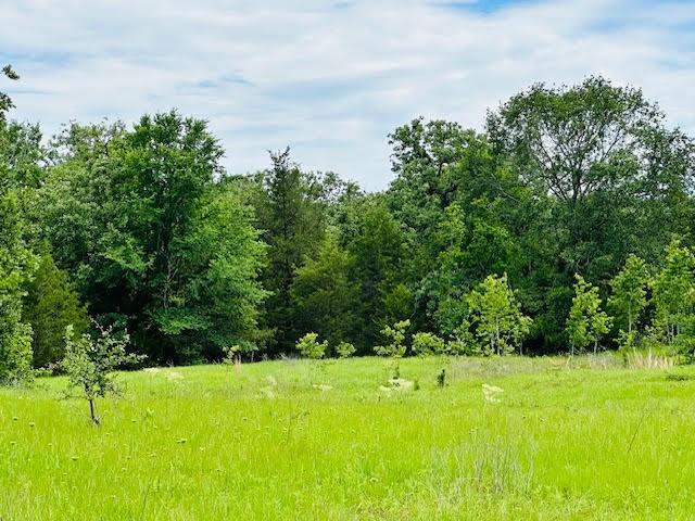 TBD County Road 278, Somerville, TX 77879 - photo 4