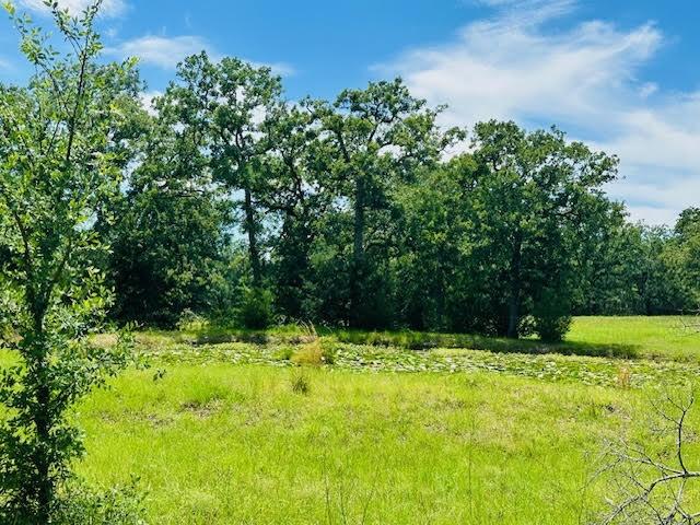 TBD County Road 278, Somerville, TX 77879 - photo 5