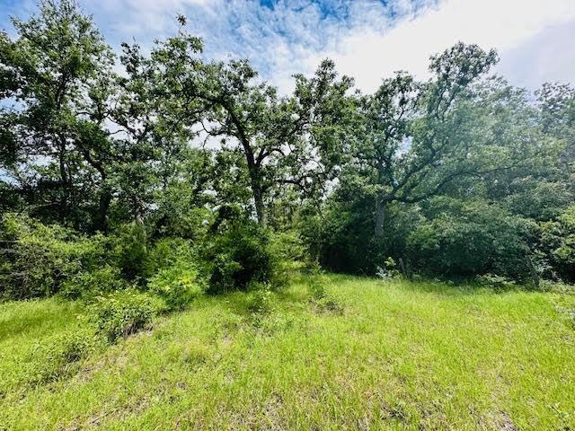 TBD County Road 278, Somerville, TX 77879 - photo 8