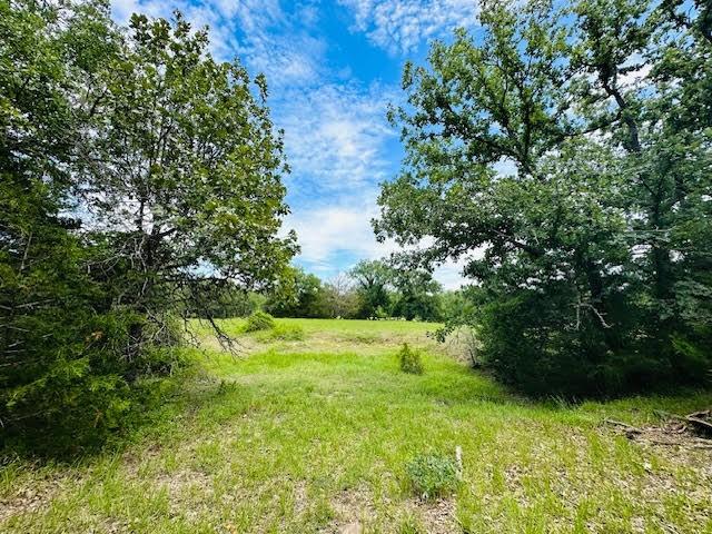 TBD County Road 278, Somerville, TX 77879 - photo 9