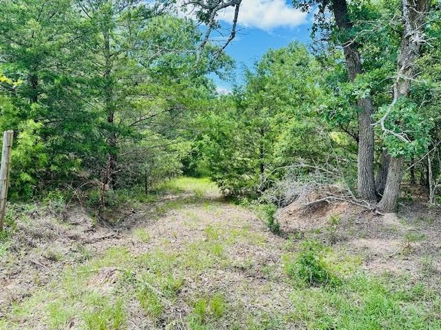 TBD County Road 278, Somerville, TX 77879 - photo 10