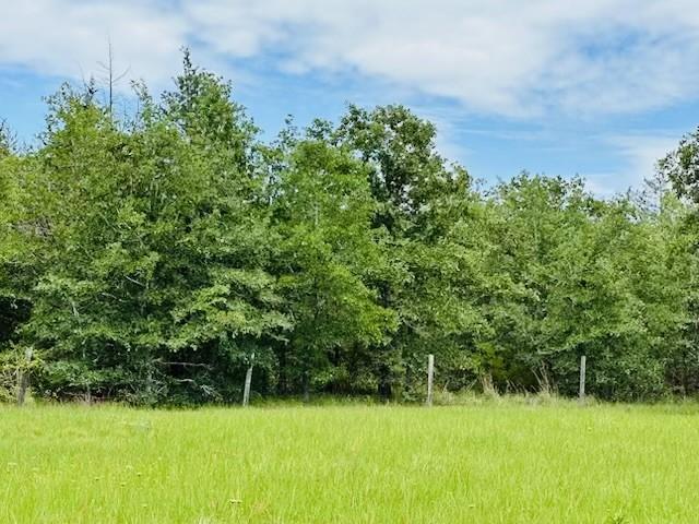 TBD County Road 278, Somerville, TX 77879 - photo 7
