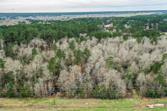 Listing photo 3 for 000 Dipping Vat Rd, New Waverly TX 77358