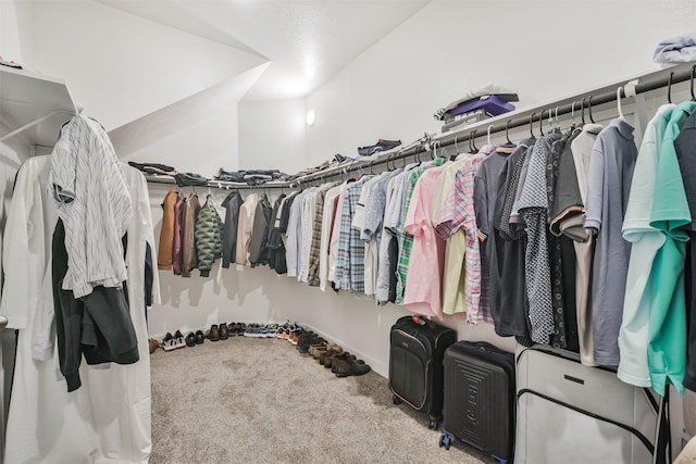 spacious closet featuring carpet