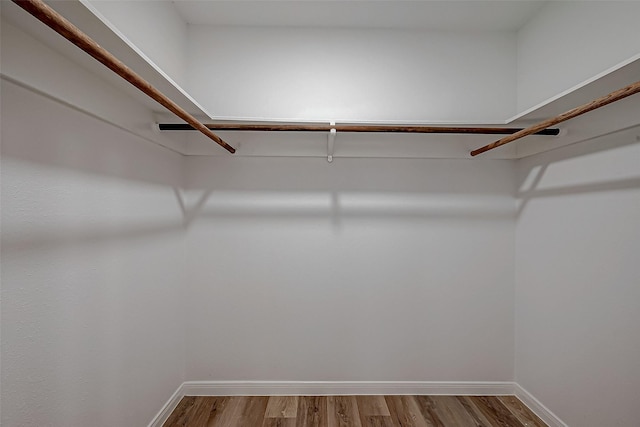 walk in closet featuring wood-type flooring