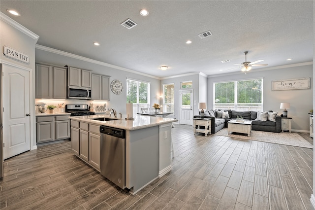 kitchen with appliances with stainless steel finishes, visible vents, and gray cabinetry