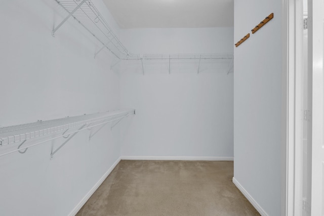 spacious closet with light colored carpet