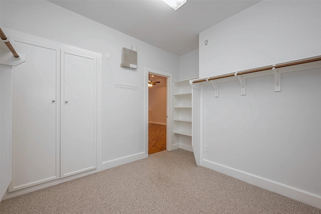 spacious closet featuring carpet floors