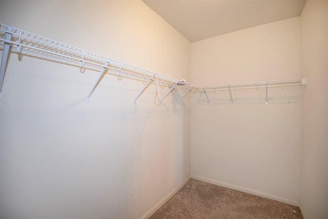 spacious closet with carpet