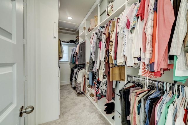 spacious closet with light colored carpet