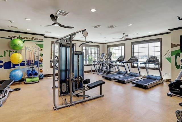 workout area featuring ornamental molding and ceiling fan