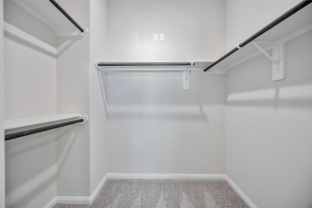 spacious closet with carpet floors