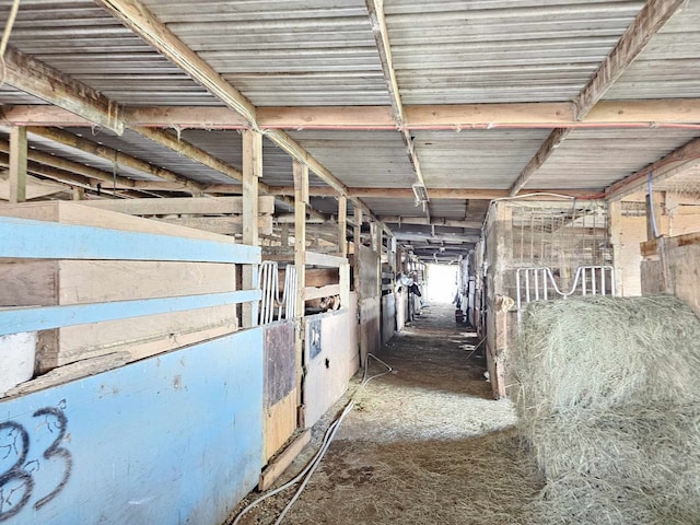 view of horse barn