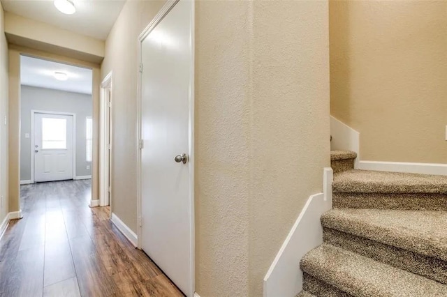 stairway featuring wood-type flooring