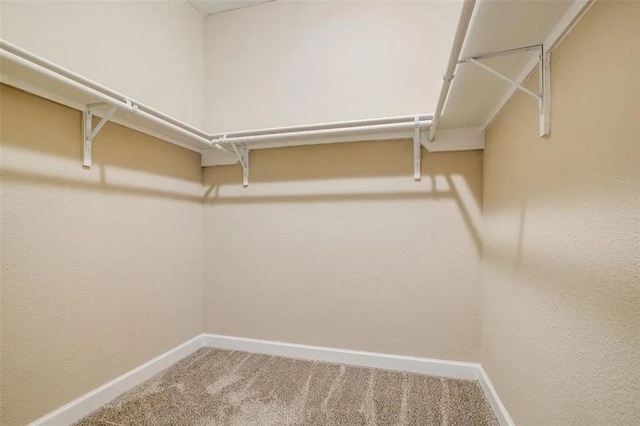 spacious closet featuring carpet floors