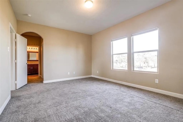 spare room with carpet floors