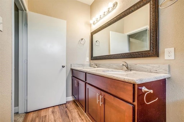 bathroom with vanity and wood-type flooring