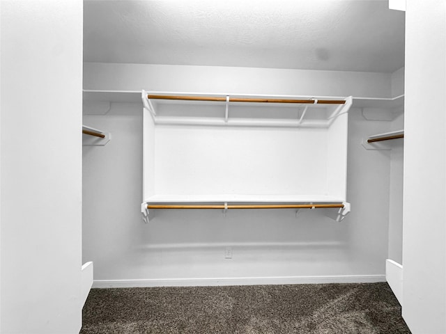 walk in closet with dark carpet