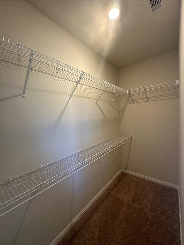 walk in closet featuring carpet floors