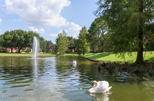 view of water feature