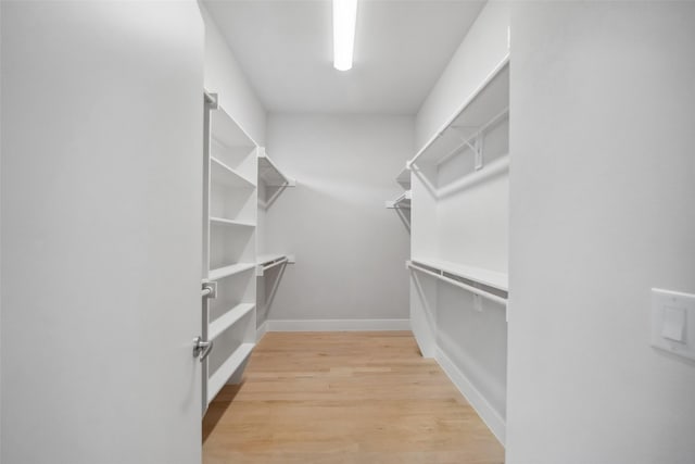 spacious closet with light wood-type flooring