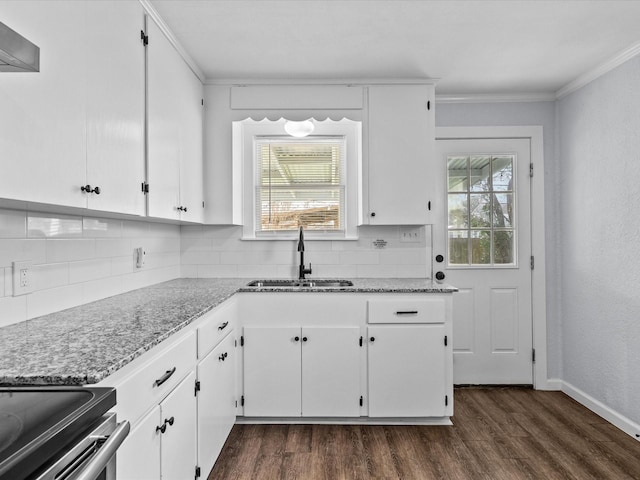 kitchen with sink, crown molding, and white cabinets