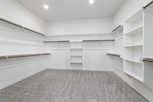 spacious closet featuring carpet