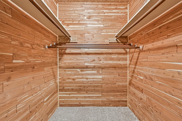 spacious closet with carpet