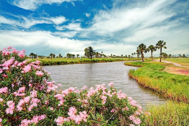 water view