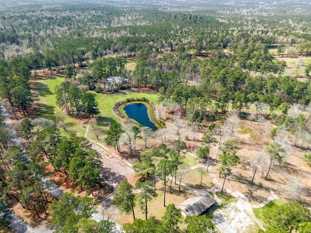201 Sunny Hill Dr, Coldspring, TX 77331 - drone / aerial view with a water view