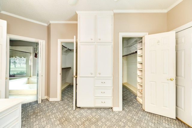 unfurnished bedroom featuring light carpet, a walk in closet, ornamental molding, and a closet