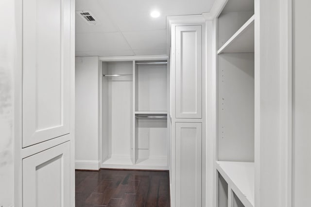 spacious closet featuring dark hardwood / wood-style flooring