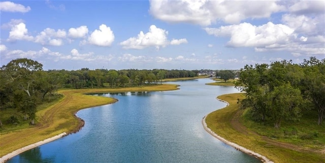 10914 Prospect Hill Ct, Missouri City, TX 77459 - water view featuring a heavily wooded area