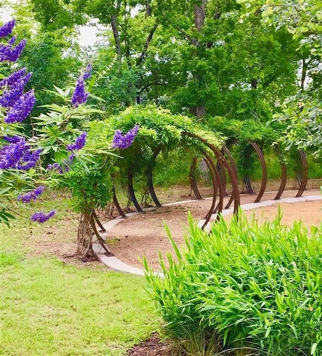 10914 Prospect Hill Ct, Missouri City, TX 77459 - view of yard