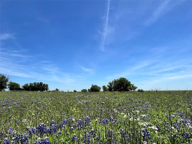 Listing photo 3 for 217ACRES Jozwiak Rd, Chappell Hill TX 77426