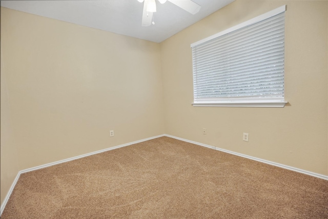 empty room featuring ceiling fan and carpet flooring