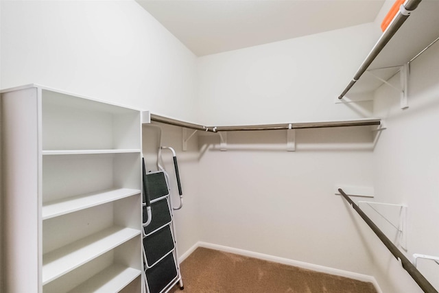 walk in closet with carpet