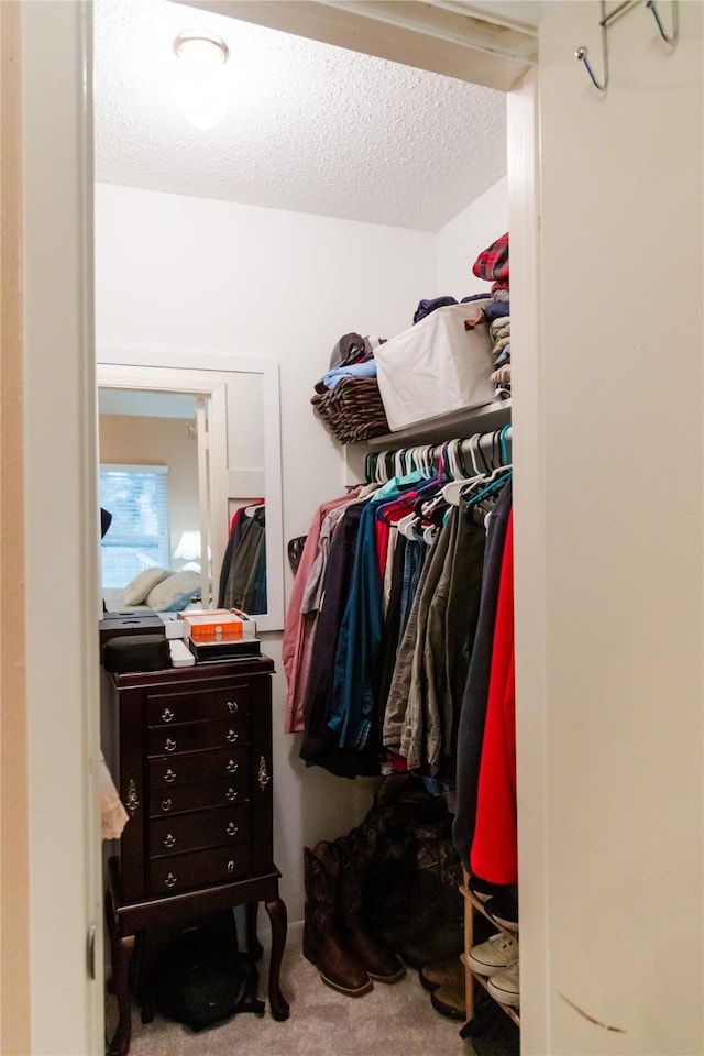 spacious closet with carpet