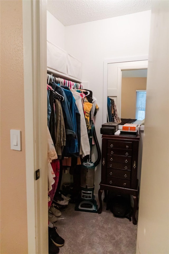 spacious closet featuring carpet floors