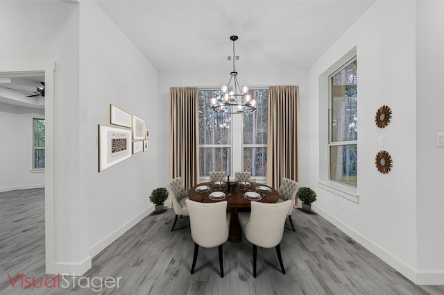 dining room featuring a notable chandelier, light hardwood / wood-style flooring, and a healthy amount of sunlight