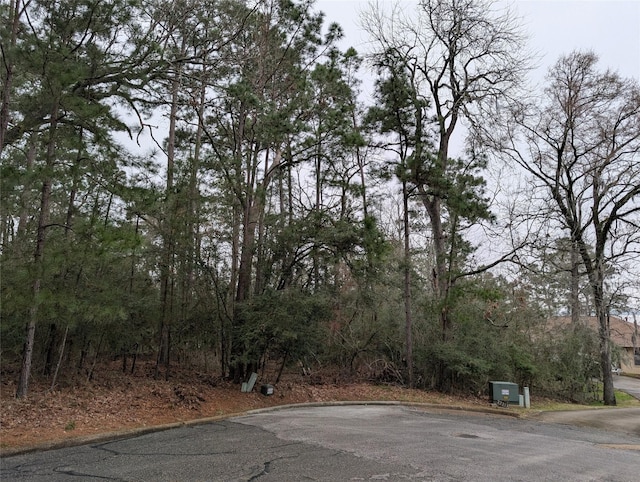 Listing photo 2 for 0 Hann Pl, Huntsville TX 77320