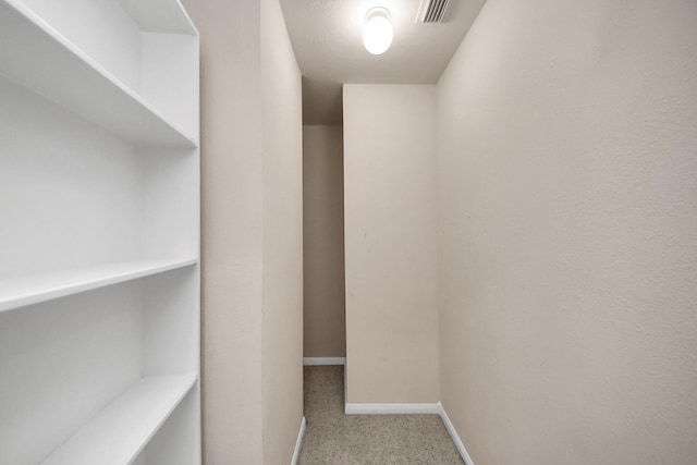 spacious closet featuring carpet floors and visible vents