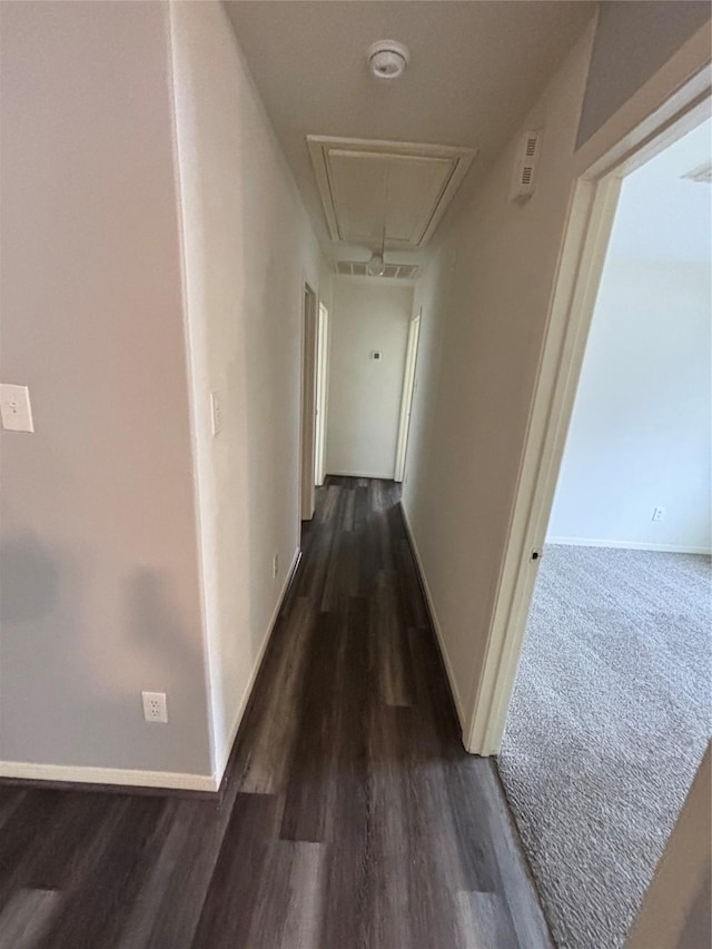 hallway featuring dark wood-type flooring