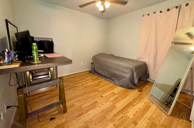 bedroom featuring light hardwood / wood-style flooring