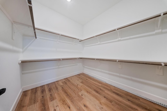 walk in closet featuring hardwood / wood-style flooring