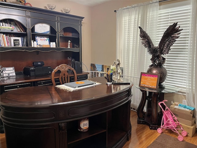 office space featuring wood finished floors