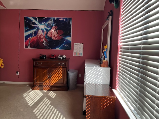 interior space featuring baseboards and carpet flooring