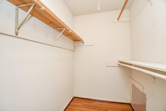 walk in closet with wood-type flooring